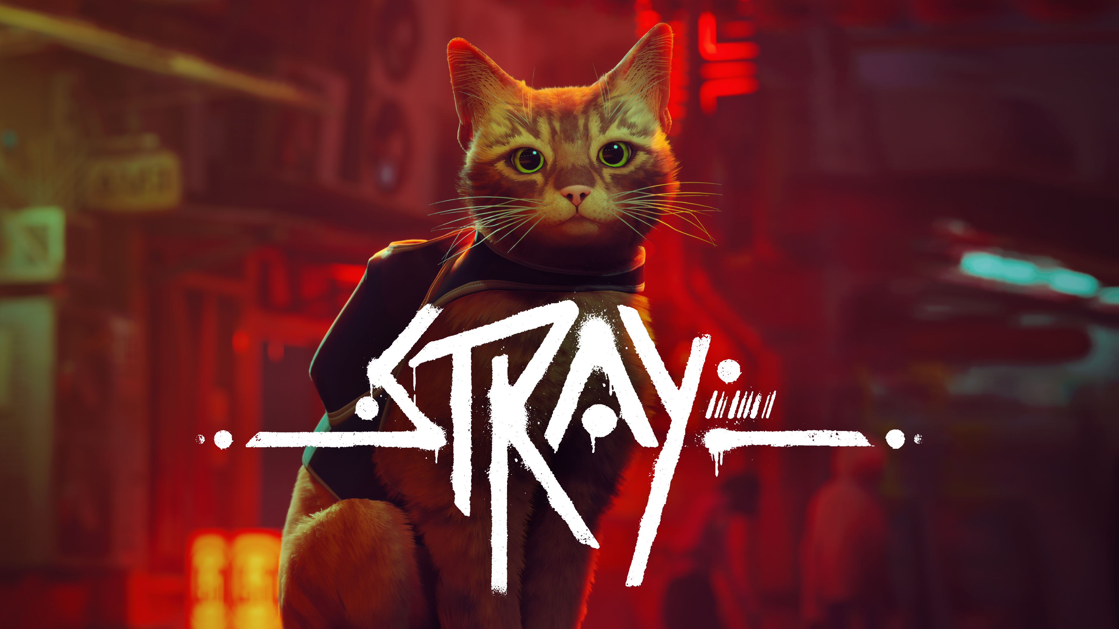 Stray cover logo 3