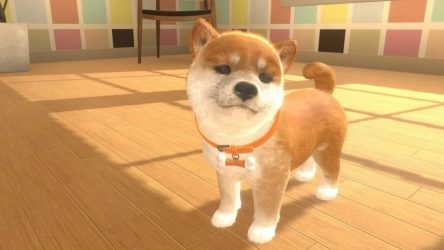 Image d'illustration pour l'article : Nintendogs : Vers un retour de la série sur mobiles ?