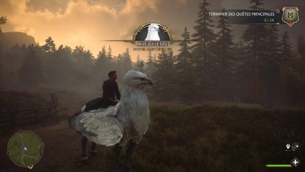 Image d'illustration pour l'article : Comment débloquer les montures (Hippogriffe, Sombral...) - Hogwarts Legacy