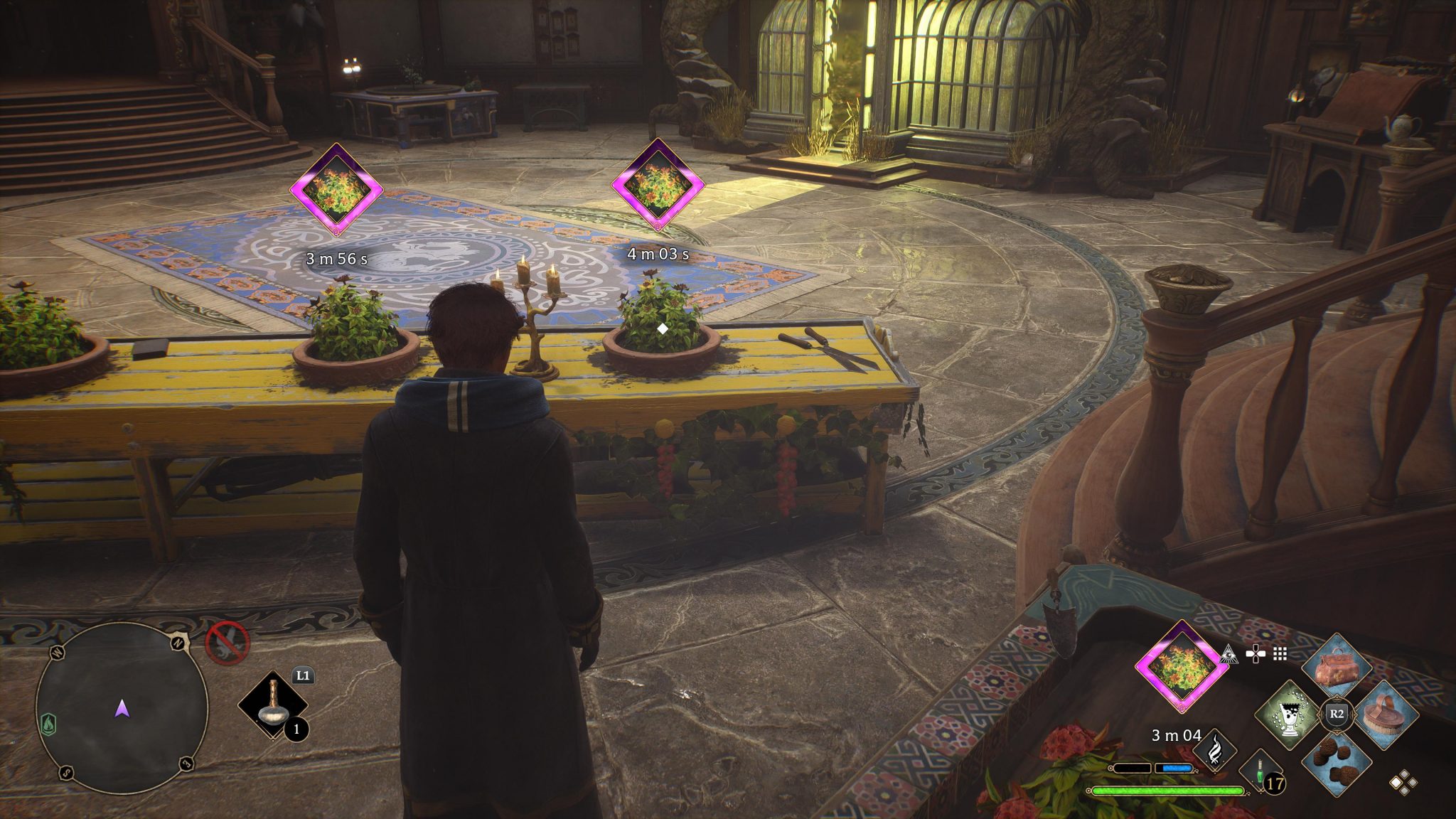 Comment obtenir de la mauve douce facilement Guide Hogwarts Legacy