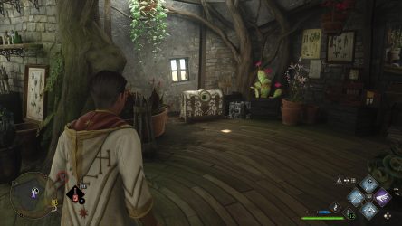 Image d'illustration pour l'article : Où trouver tous les coffres avec un œil - Hogwarts Legacy