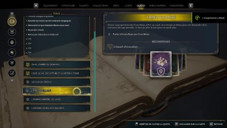 Image d'illustration pour l'article : L'appel de l'amitié - Hogwarts Legacy