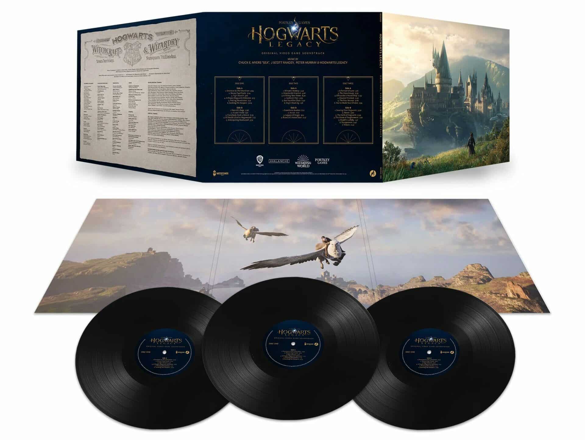 Hogwarts legacy vinyle 2