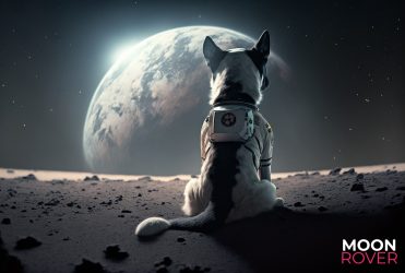 Image d'illustration pour l'article : Moon Rover Games : Des vétérans d'Electronic Arts et d'Ubisoft fondent un nouveau studio de jeux vidéo