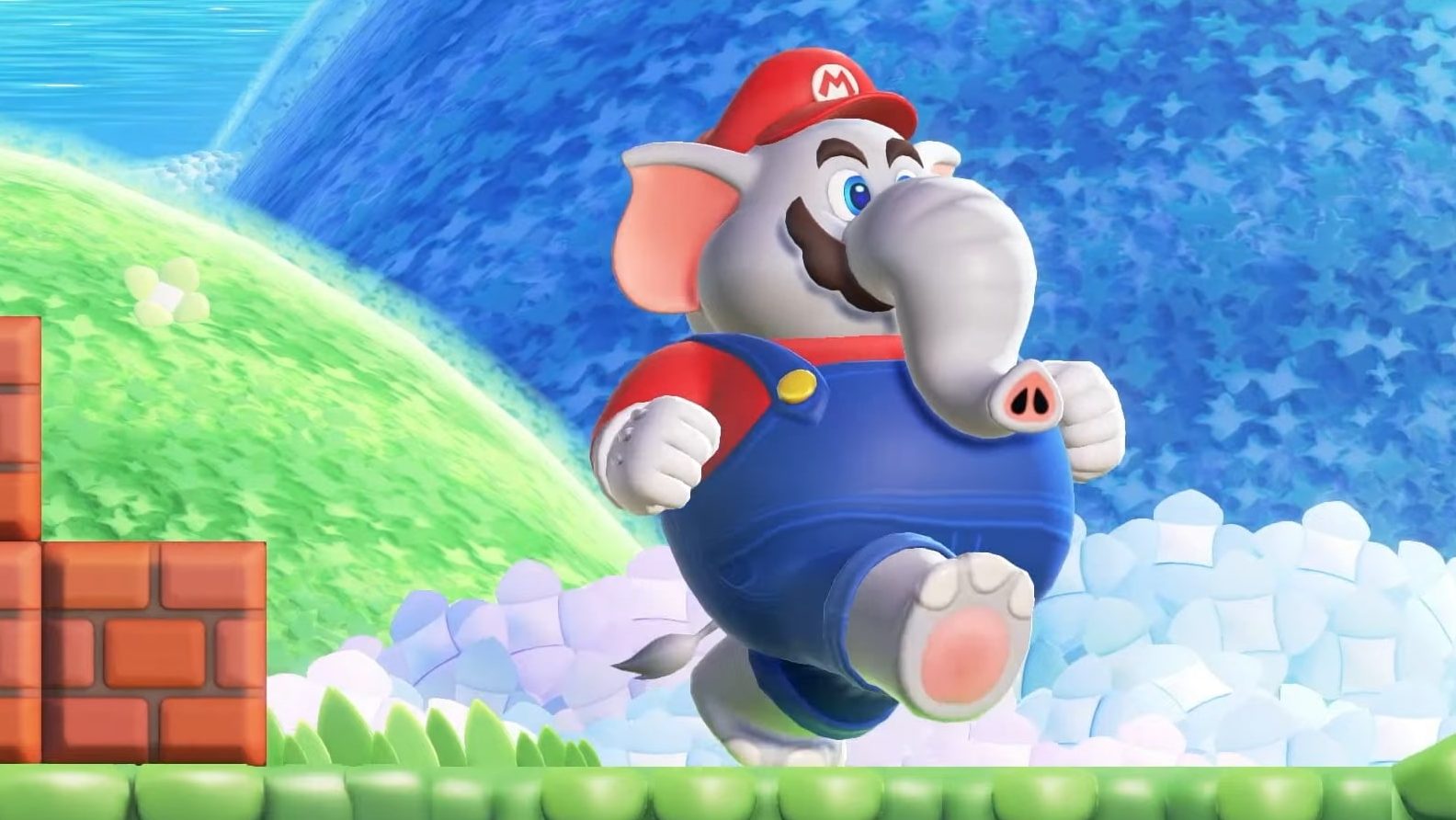 Super Mario Bros. Wonder : Nouvelles transformations, personnages jouables,  mode en ligne... Tout savoir sur le prochain jeu 2D