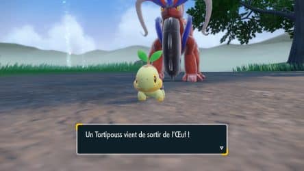 Image d'illustration pour l'article : Comment obtenir Ouisticram, Tortipouss et Tiplouf - Pokémon Écarlate et Violet