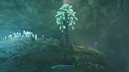 Image d'illustration pour l'article : Emplacement des Tigecloches (Forêt des kinglors) - Guide Avatar Frontiers of Pandora