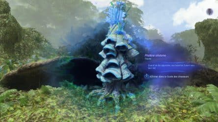 Image d'illustration pour l'article : Localisation des 11 Phalènes ailelames (La piste des ailelames) - Avatar Frontiers of Pandora