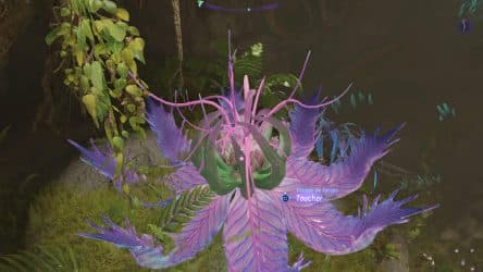 Image d'illustration pour l'article : Emplacement des pousses de Tarsyu (Forêt des kinglors) - Guide Avatar Frontiers of Pandora