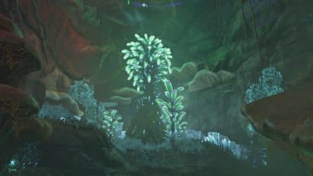 Image d'illustration pour l'article : Emplacement des Tigecloches (Forêt embrumée) - Avatar Frontiers of Pandora