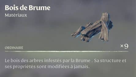 Image d'illustration pour l'article : Comment trouver du bois de brume - Enshrouded