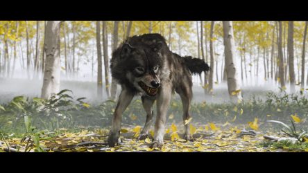 Image d'illustration pour l'article : Toutes les tanières de loups – Ghost of Yōtei