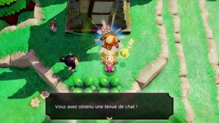 Image d'illustration pour l'article : Obtenir tous les costumes - The Legend of Zelda: Echoes of Wisdom