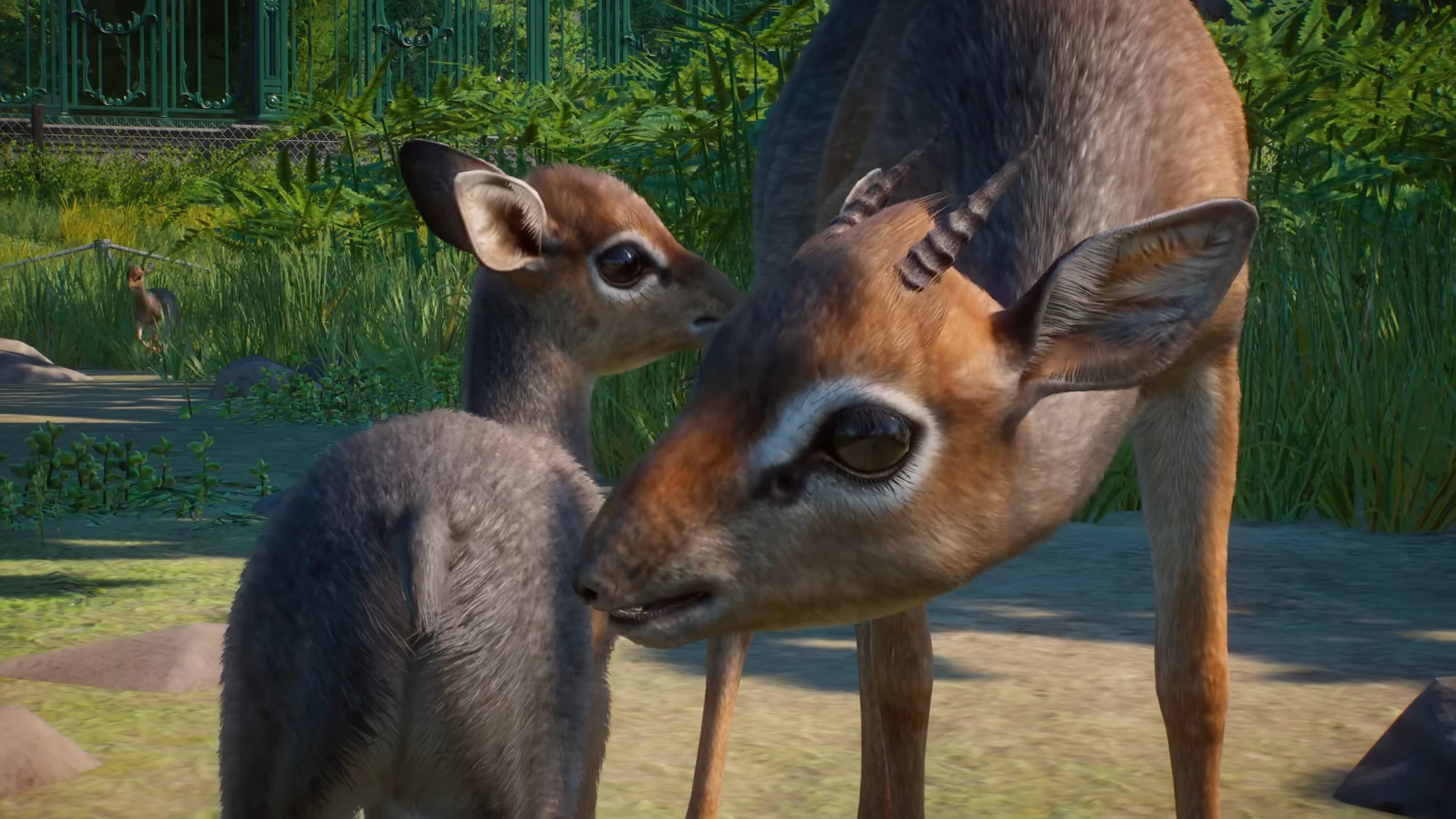 Planet zoo dlc zookeepers animal pack 5 6