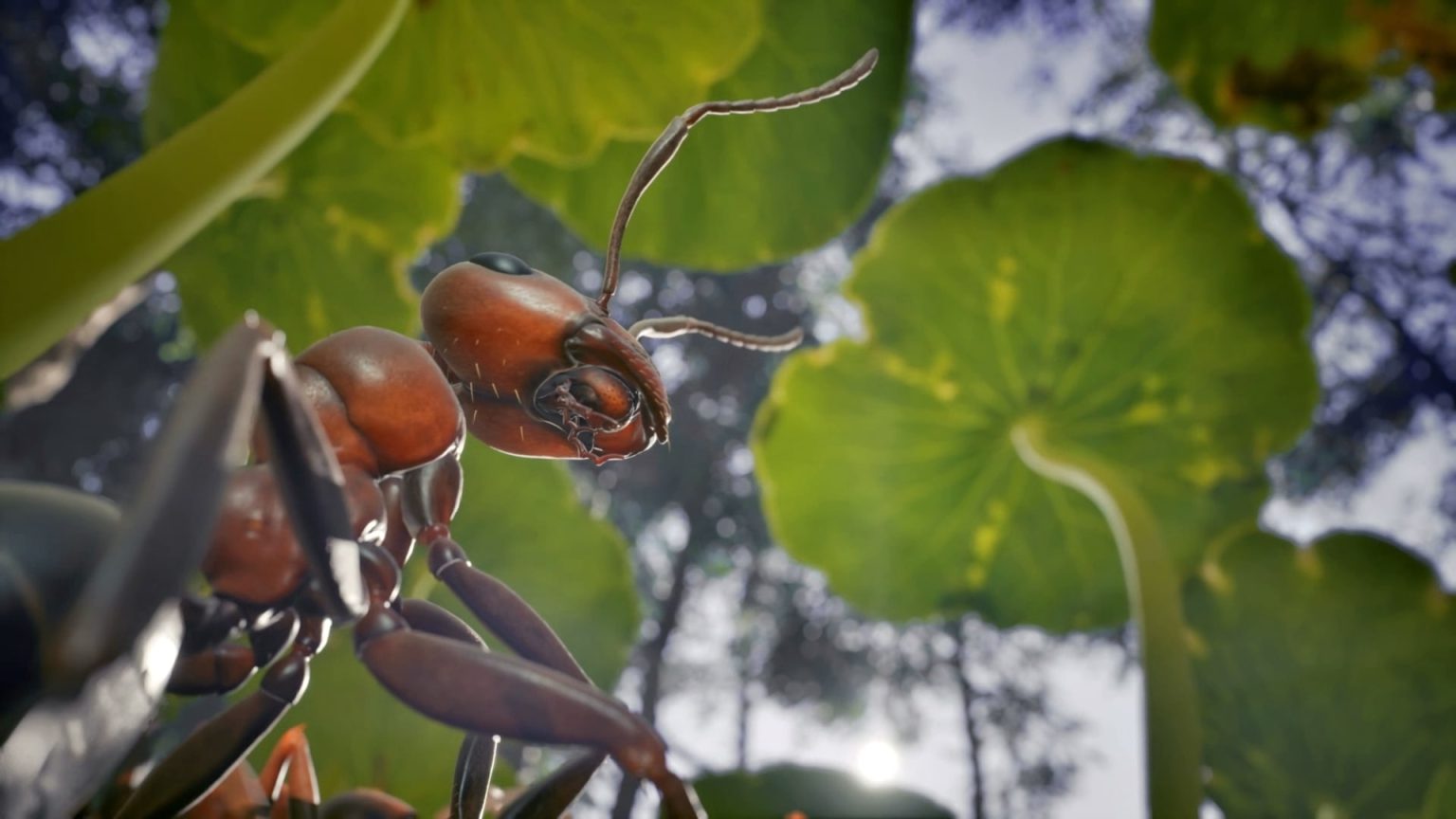 Test Les Fourmis - Une adaptation magnifique et une excellente entrée ...