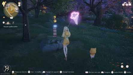 Image d'illustration pour l'article : Où et comment attraper un chaussetton - Infinity Nikki