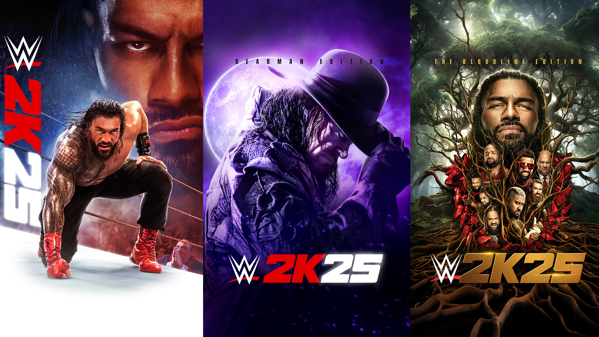 Wwe 2k25 1 1 5