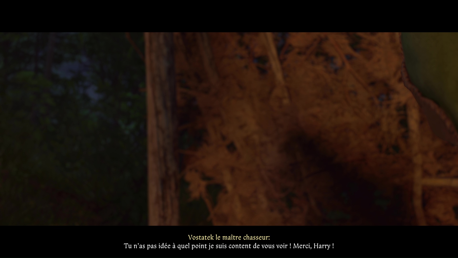 Kingdom come deliverance ii laquais 40 40