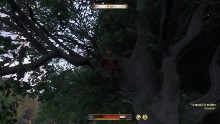 Image d'illustration pour l'article : Laquais - Kingdom Come Deliverance II