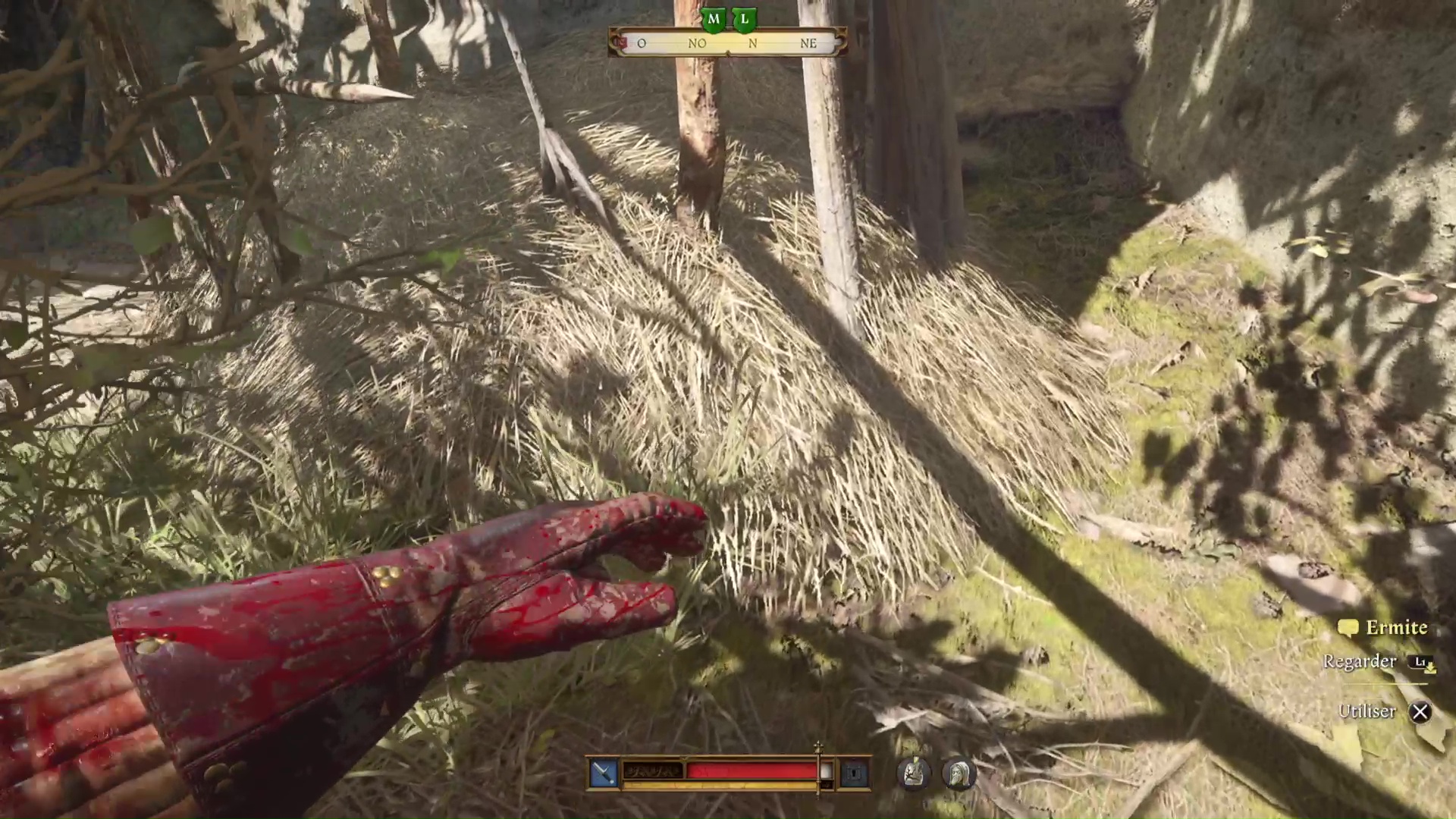 Kingdom come deliverance ii lermite 72 77