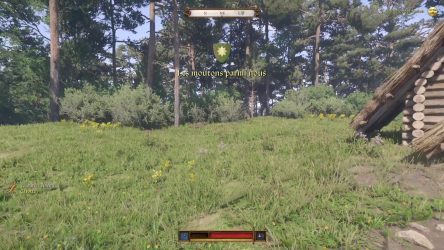Image d'illustration pour l'article : Les moutons parmi nous - Kingdom Come Deliverance II