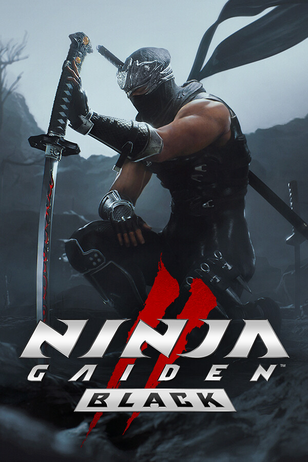 Jaquette de Ninja Gaiden 2 Black