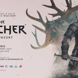 The witcher concert 2