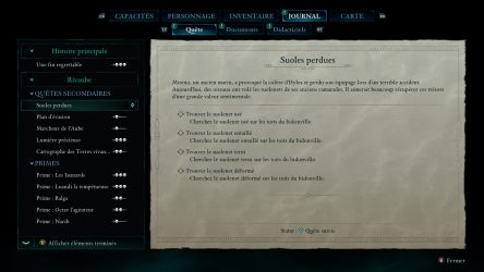 Image d'illustration pour l'article : Suoles perdues - Avowed