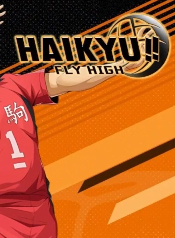 Jaquette de HAIKYU!! FLY HIGH