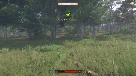 Image d'illustration pour l'article : Chut, mon Trésor... - Kingdom Come Deliverance II
