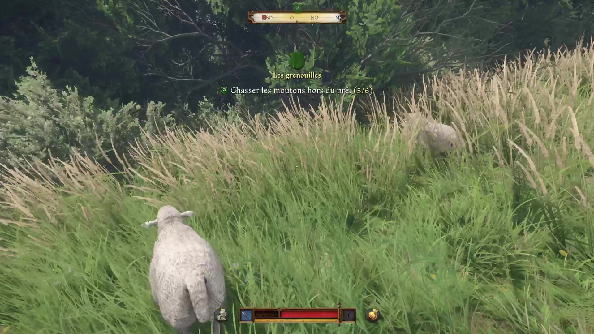 Kingdom come deliverance ii les grenouilles 66