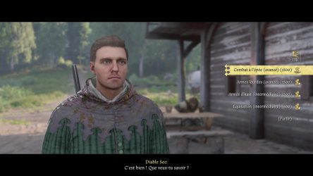 Image d'illustration pour l'article : Tous les pédagogues de compétence - Kingdom Come Deliverance II