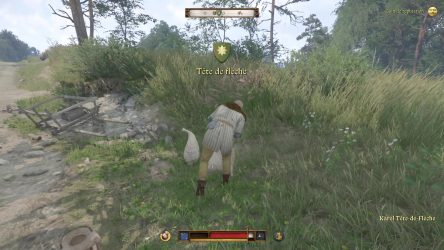 Image d'illustration pour l'article : Tête de flèche - Kingdom Come Deliverance II
