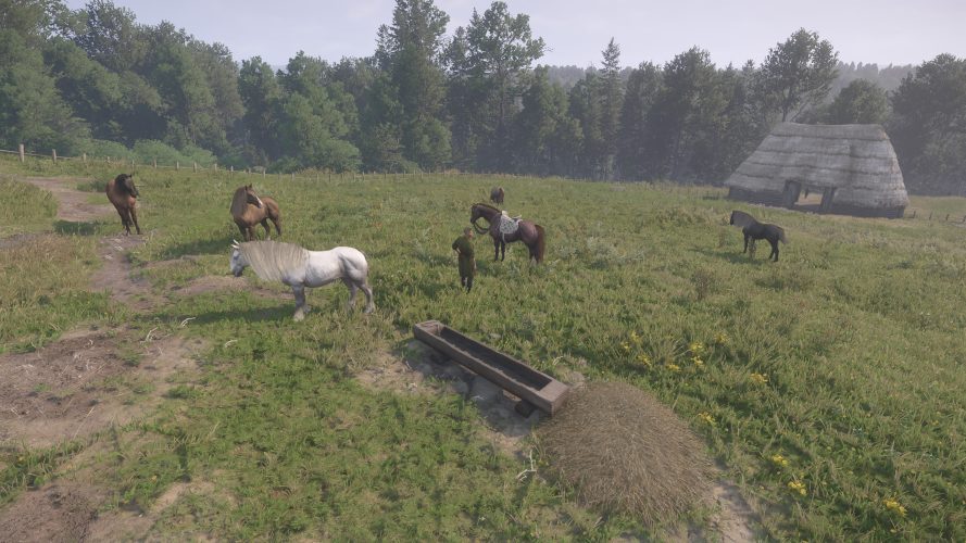 Image d\'illustration pour l\'article : Quels sont les meilleurs chevaux – Kingdom Come Deliverance II