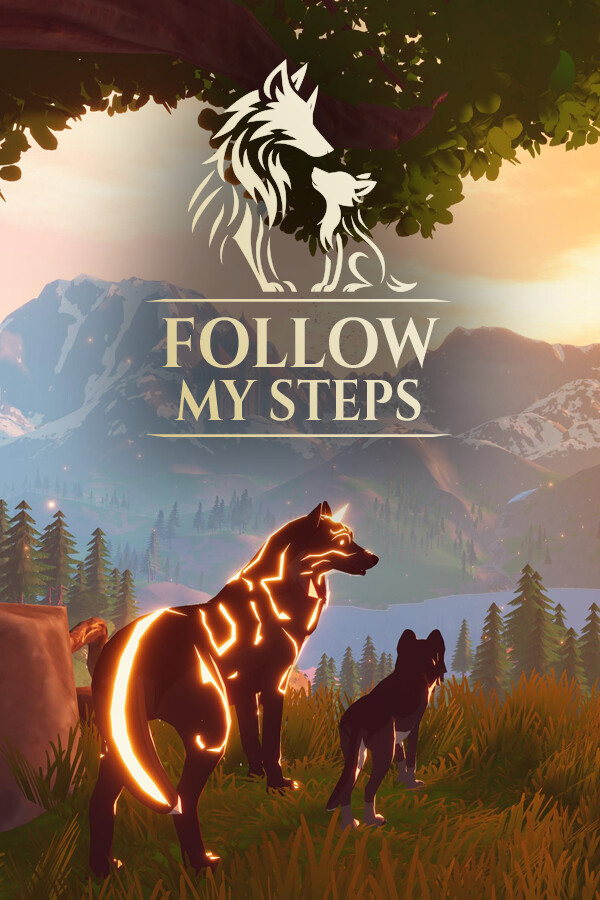 Jaquette de Follow My Steps