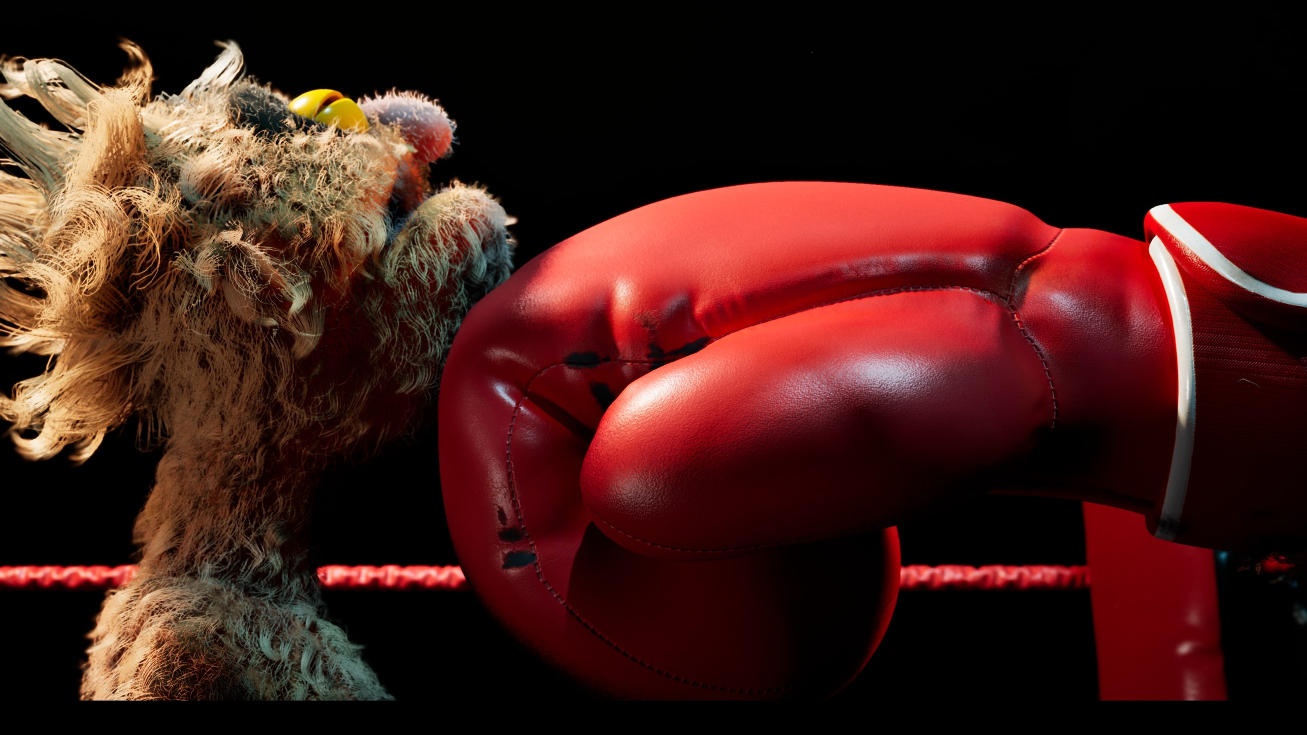 Combat cartoon Felt That Boxing
