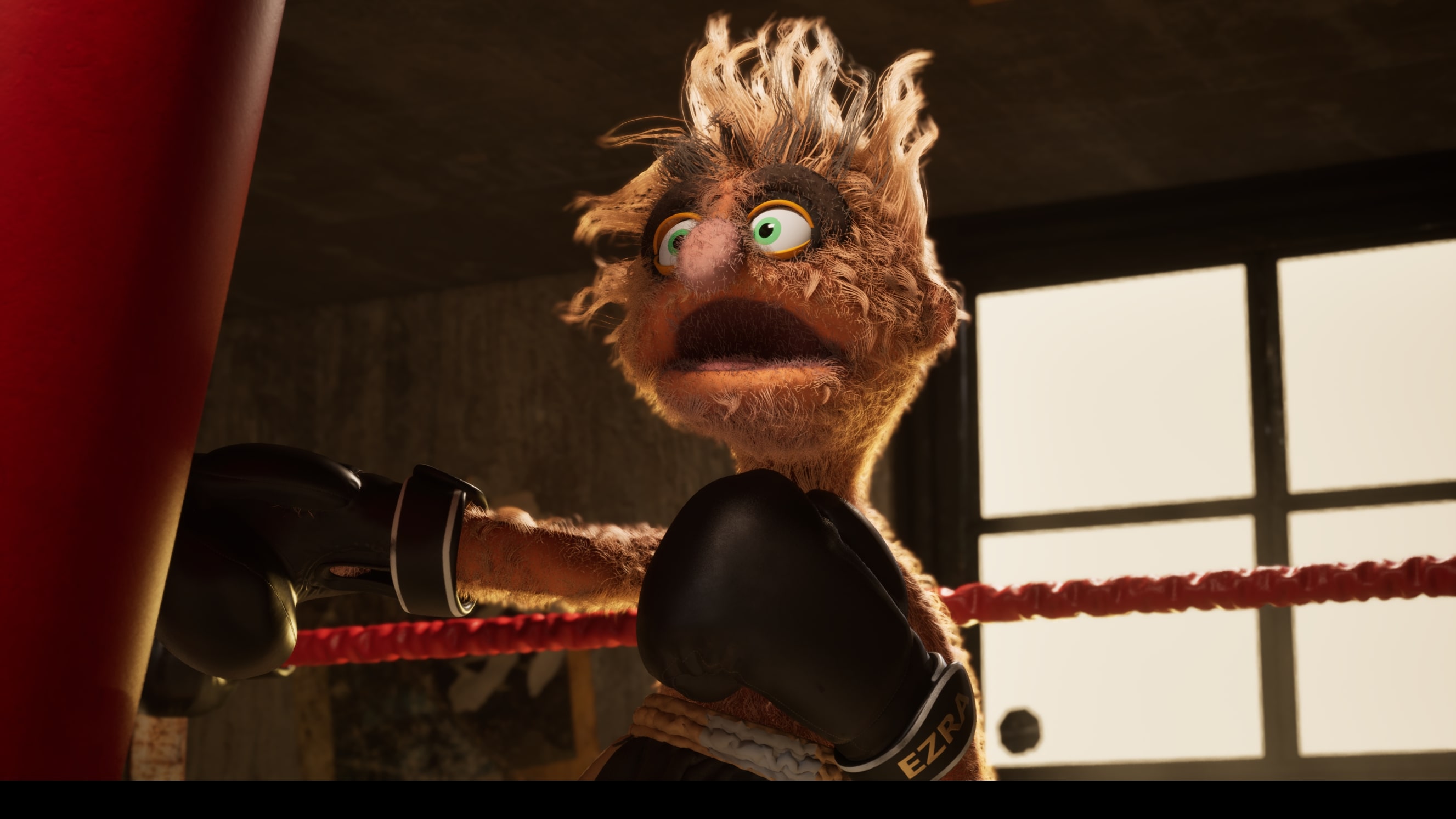 KO marionnettes Felt That Boxing
