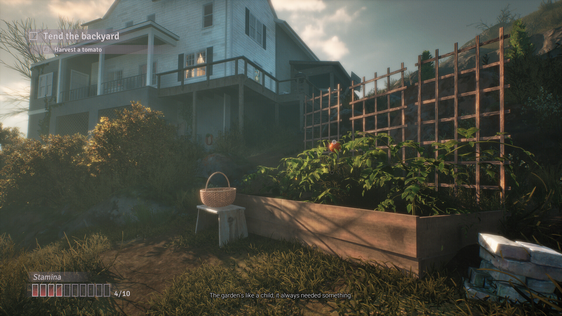 Simulation vie sur PC