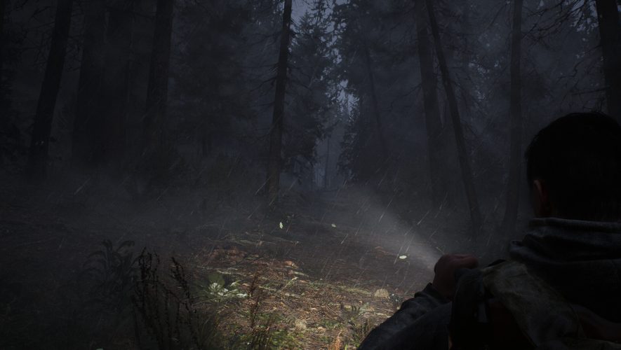 Whispers in the fog screenshot 03 4