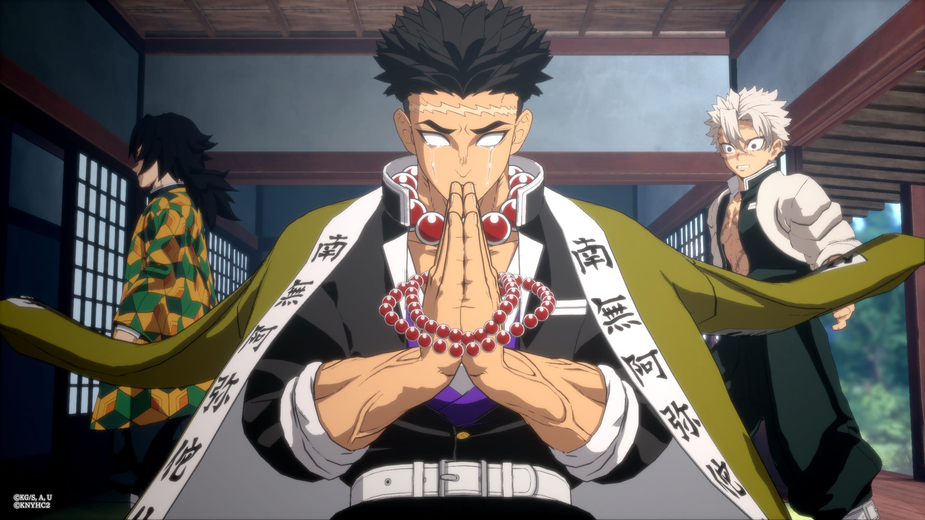 Demon slayer kimetsu no yaiba the hinokami chronicles 2 40 1