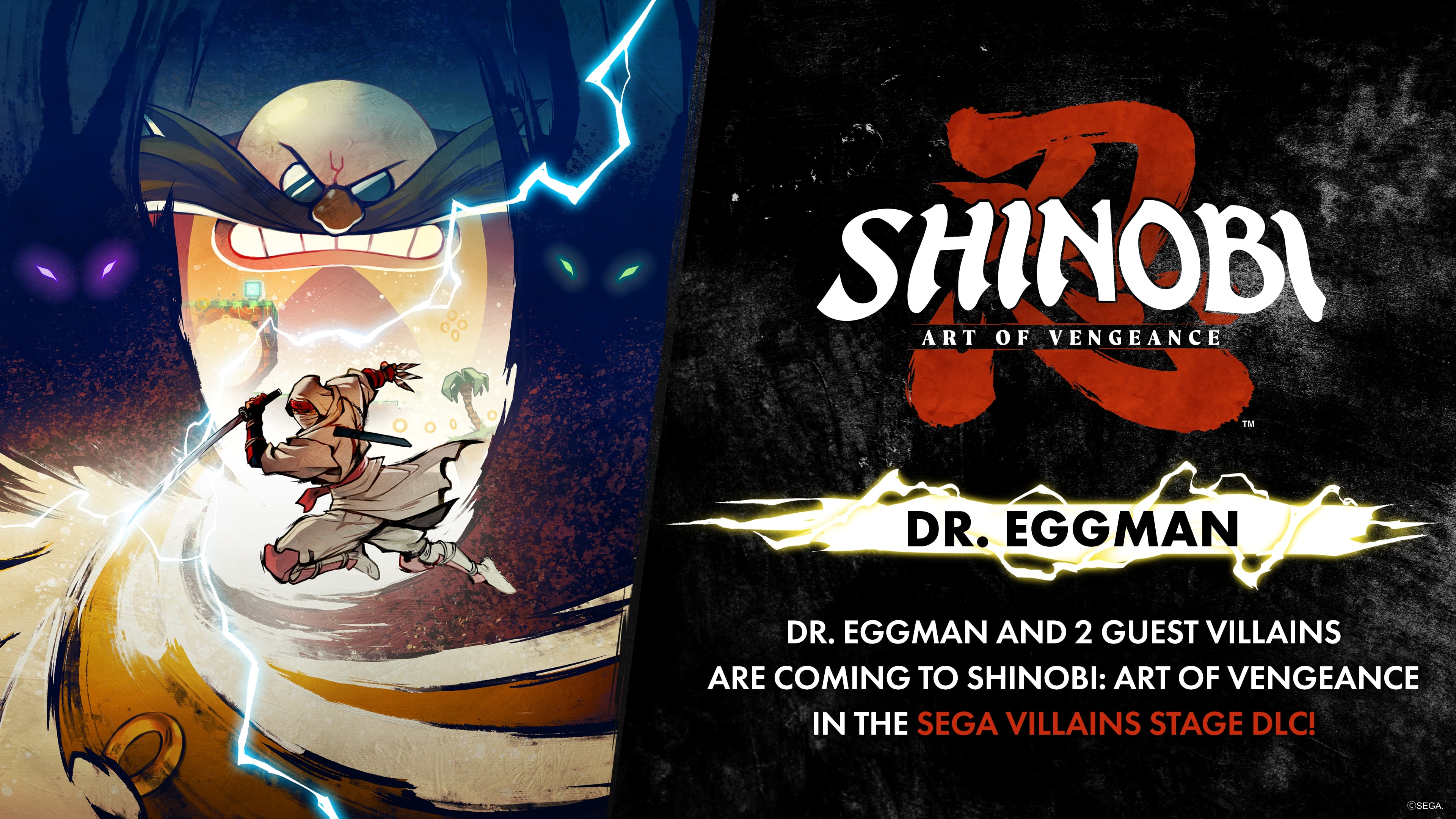 Shinobi art of vengeance dlc 2