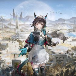 Arknights endfield 3