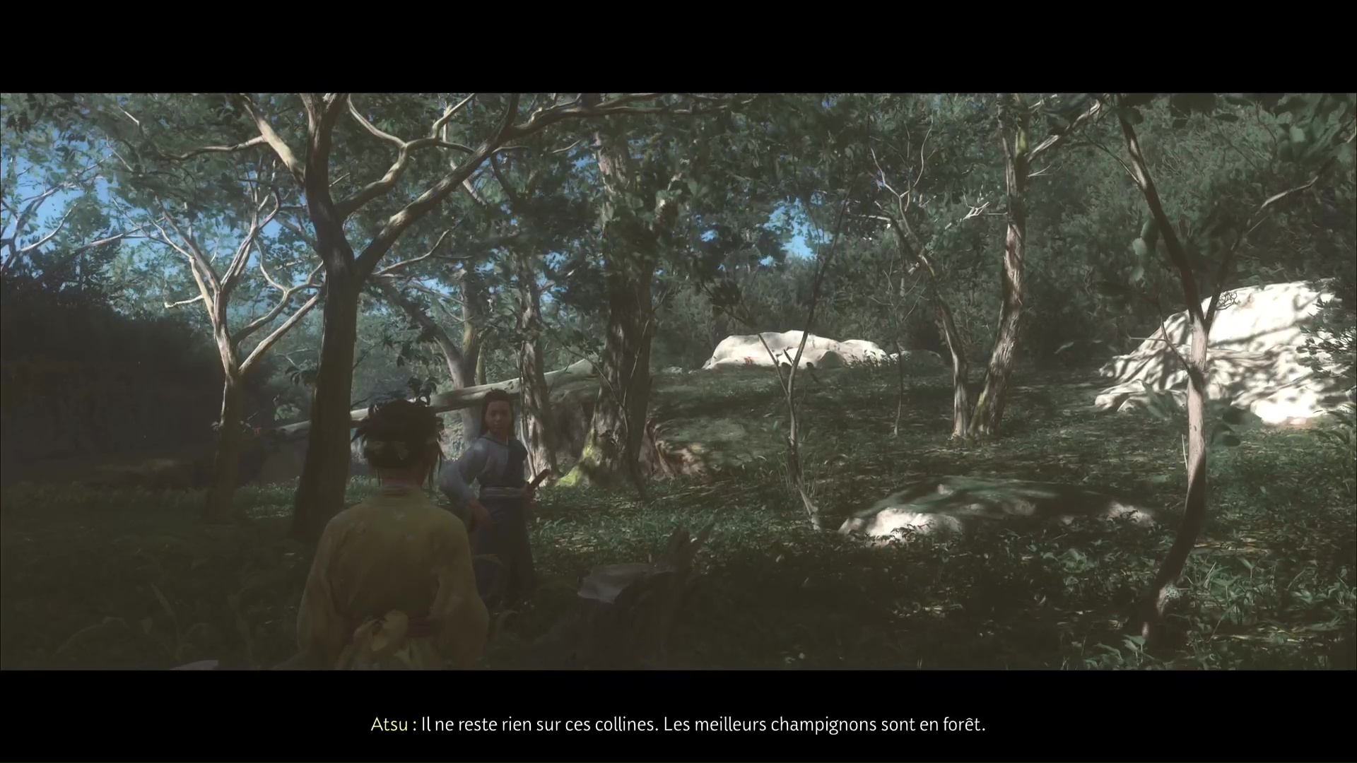 Ghost of yotei lart du double katana 39 34 Ghost of yotei lart du double katana 39 34