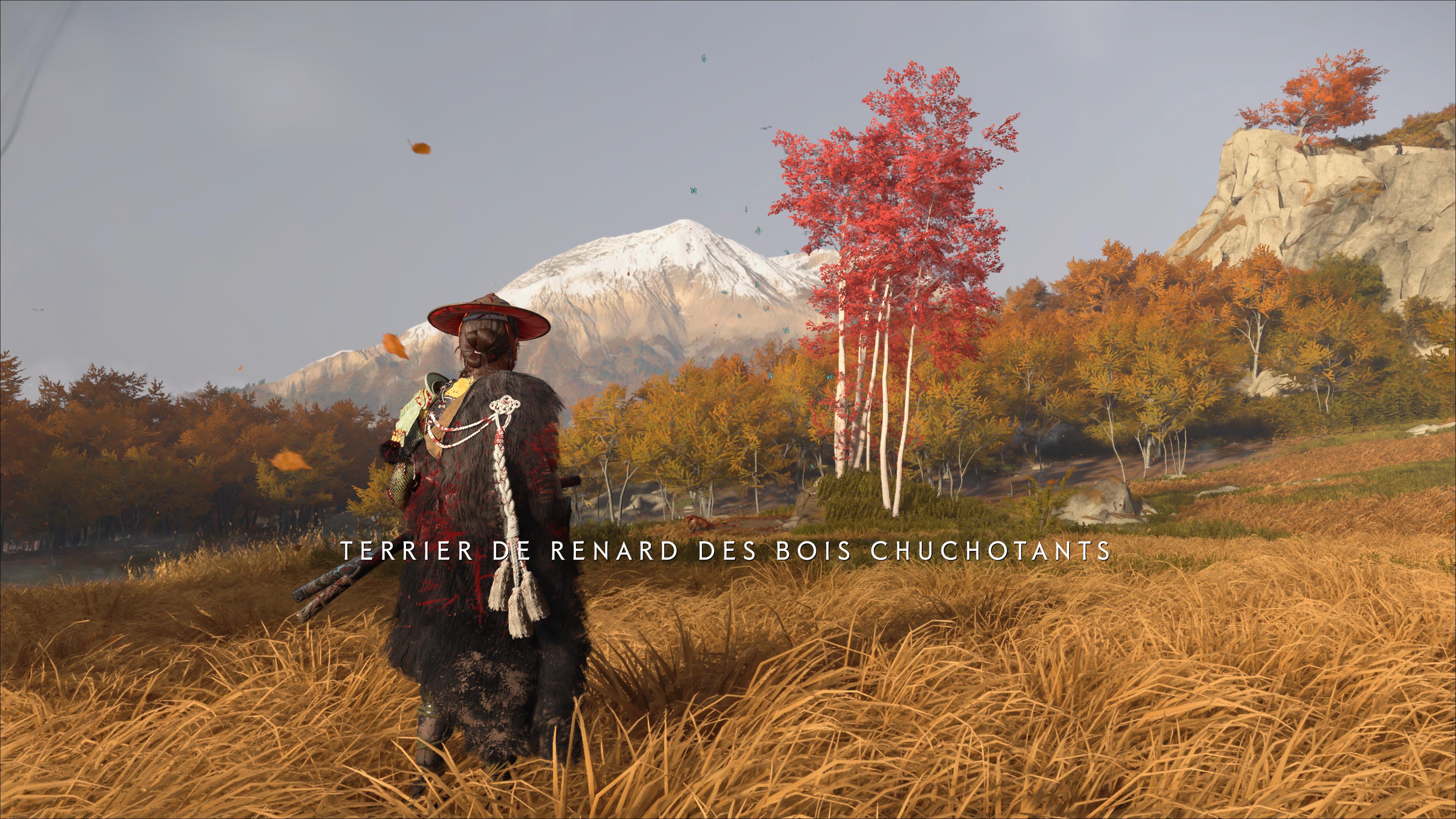 Ghost of yotei terrier de renard bois chuchotants 1 45