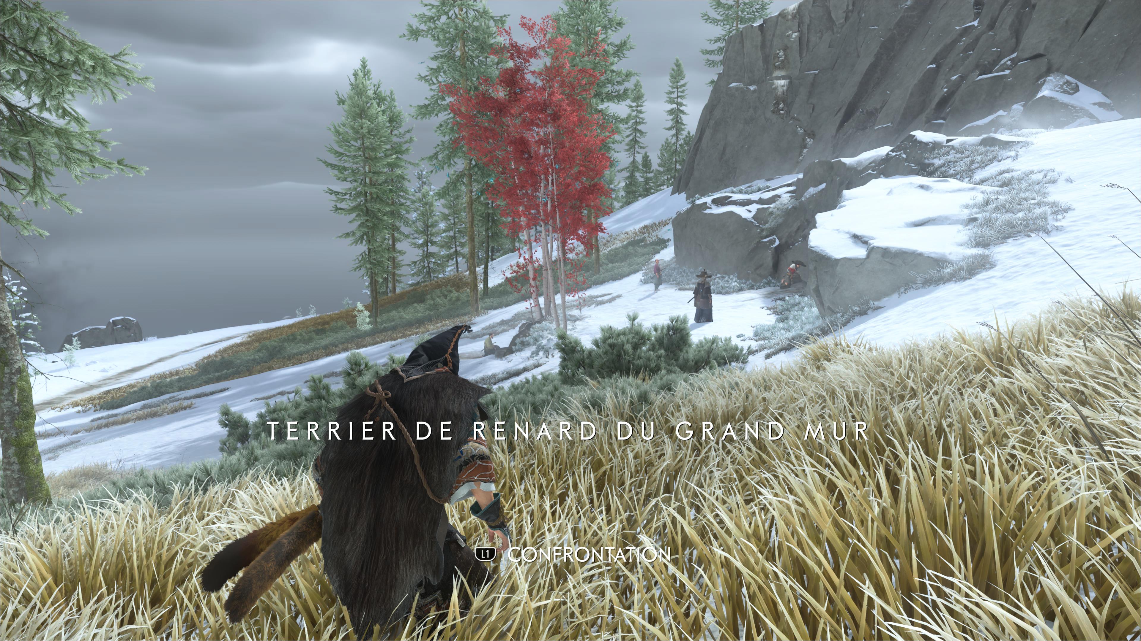 Ghost of yotei terrier de renard grand mur 1 111