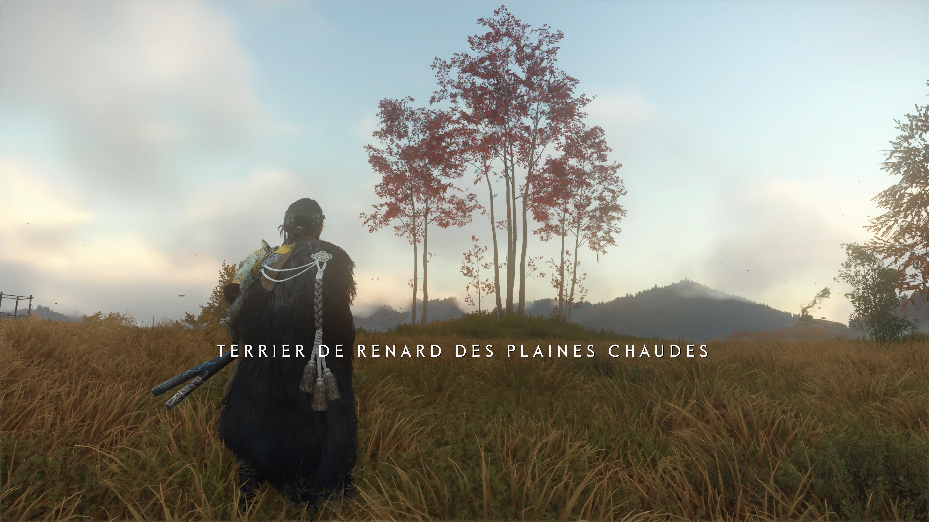 Ghost of yotei terrier de renard plaines chaudes 1 33