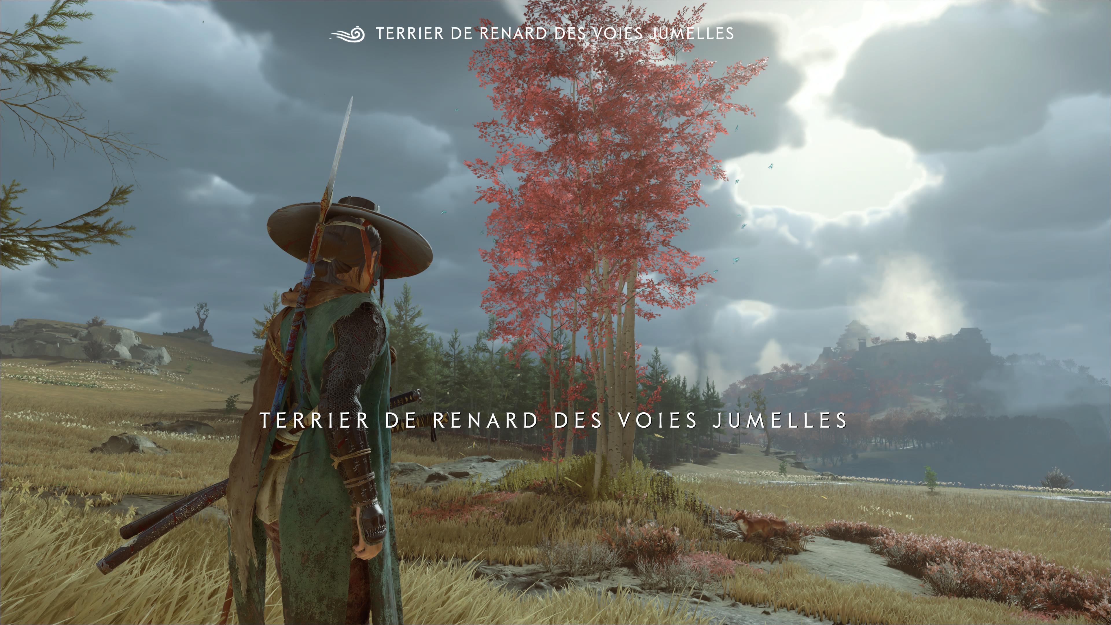 Ghost of yotei terrier de renard voies jumelles 1 74