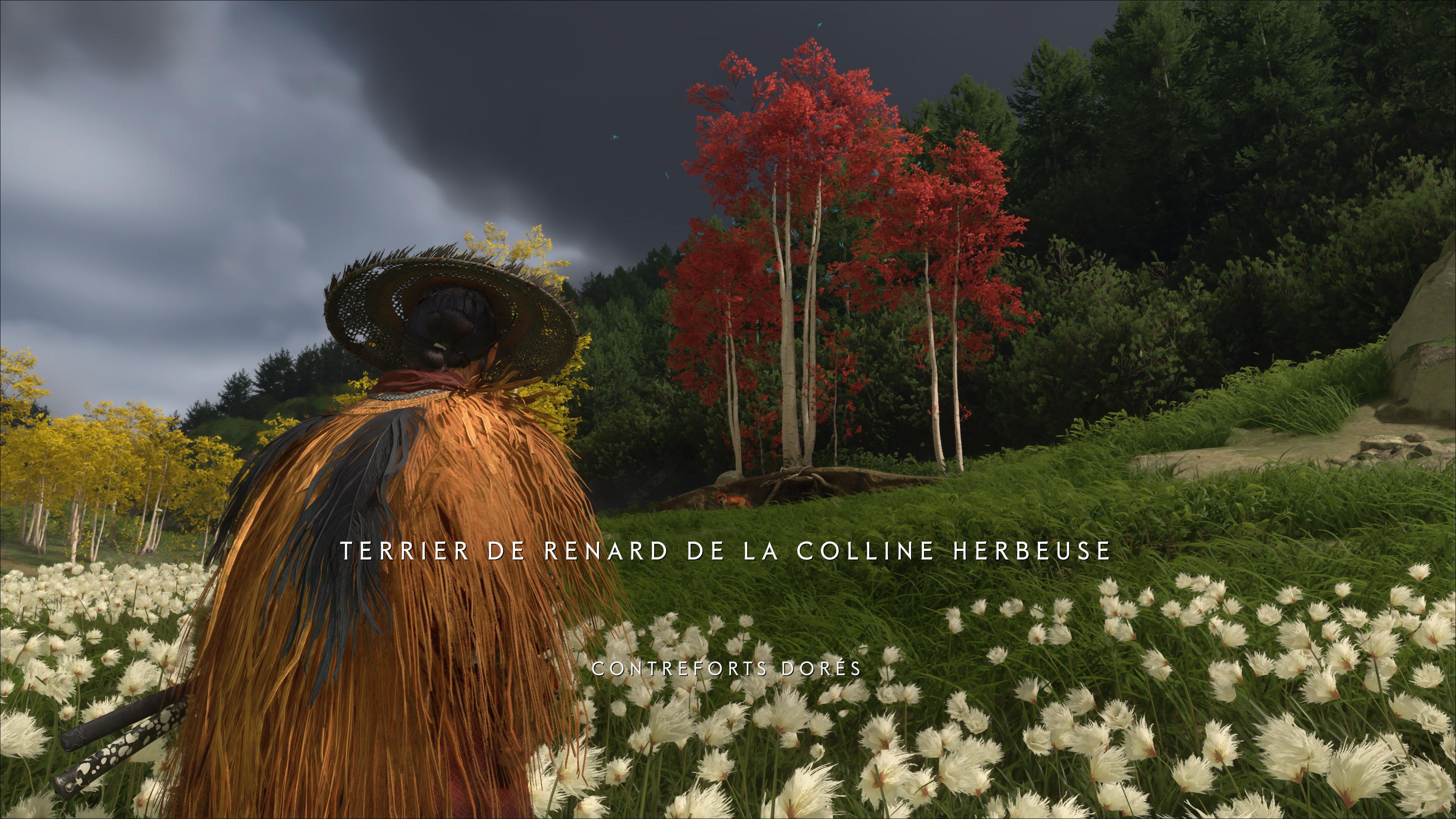 Ghost of yotei terrier renard de la colline herbeuse 1 23