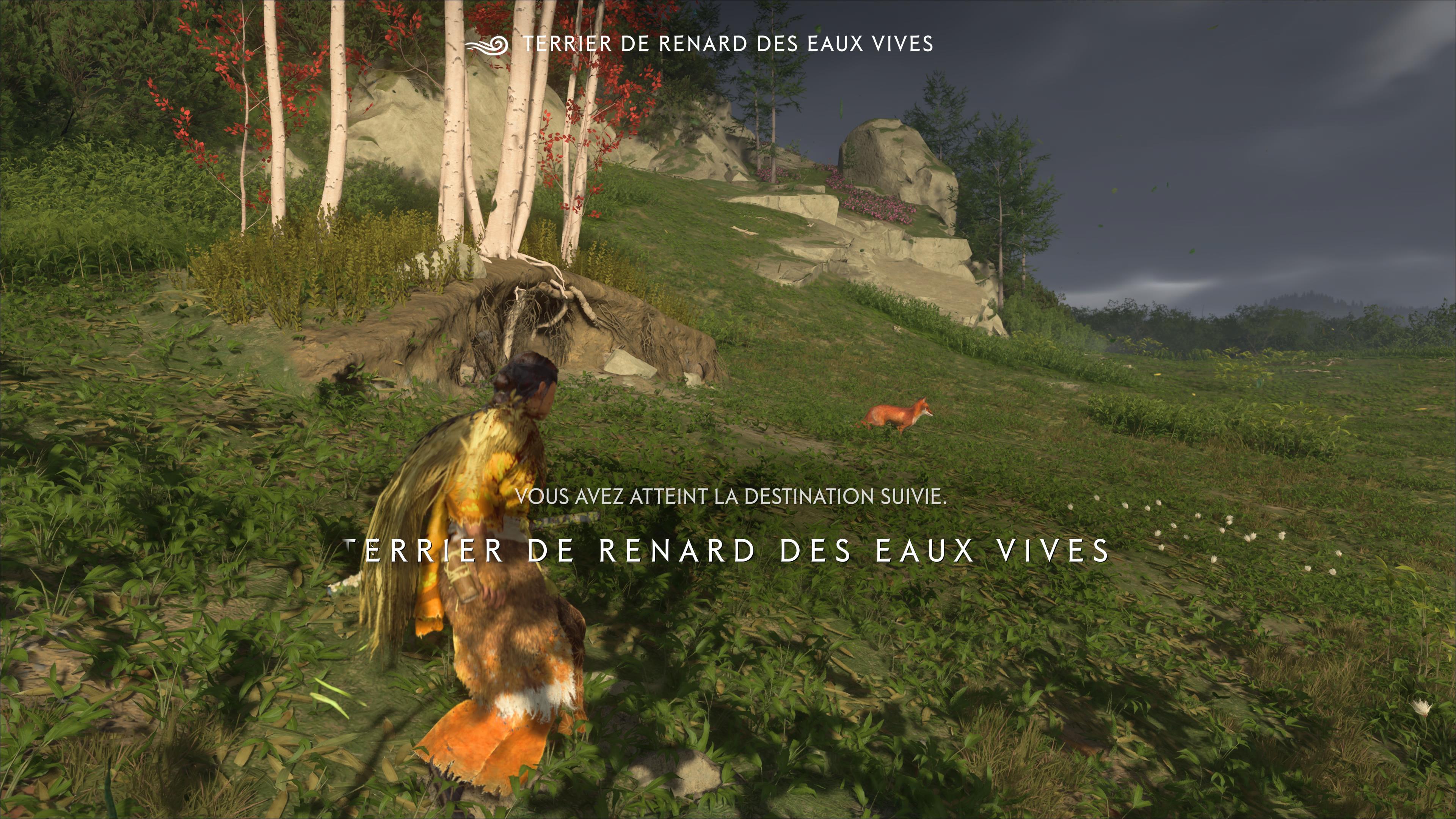 Ghost of yotei terrier renard eaux vives 3 15