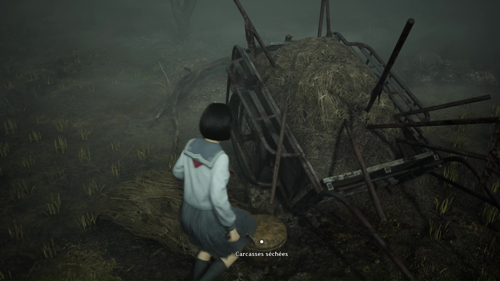 Silent hill f offrande carcasse sechee enigme champ 11